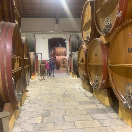La Mimosa Case Vacanze Μαρσάλα Εξωτερικό φωτογραφία