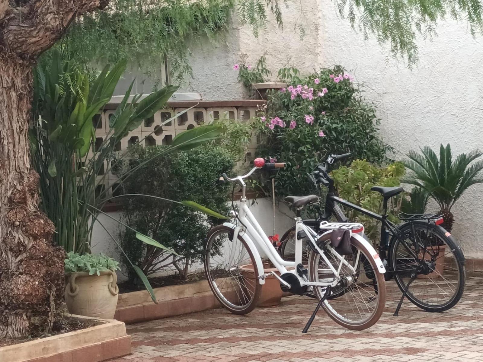 La Mimosa Case Vacanze Μαρσάλα Εξωτερικό φωτογραφία