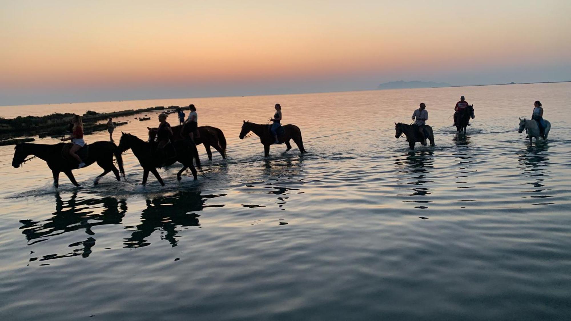 La Mimosa Case Vacanze Μαρσάλα Εξωτερικό φωτογραφία