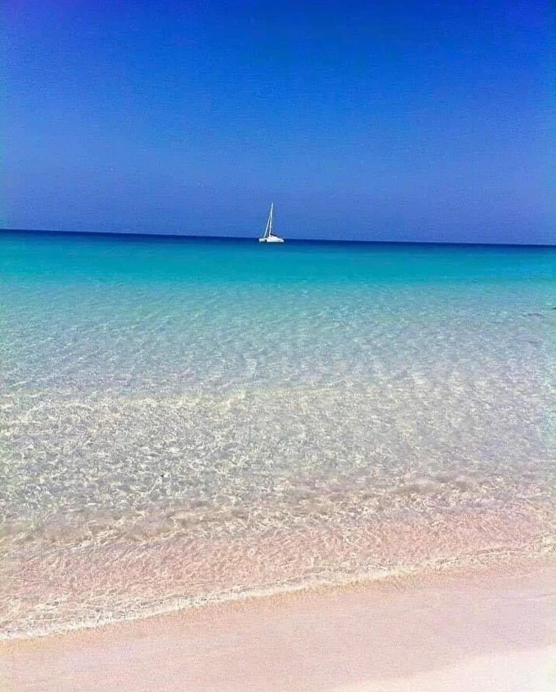 La Mimosa Case Vacanze Μαρσάλα Εξωτερικό φωτογραφία